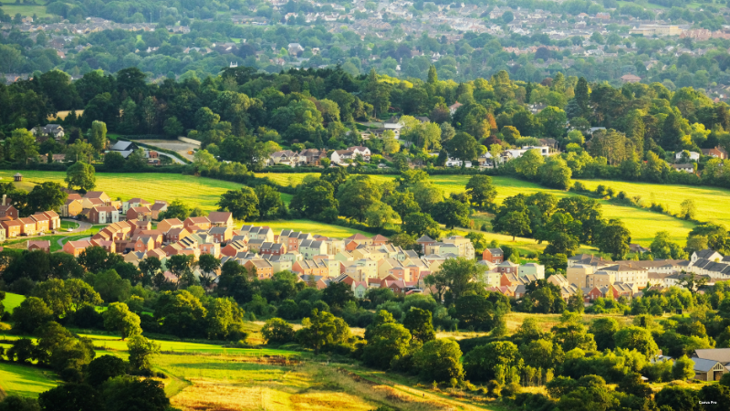 Cotswolds